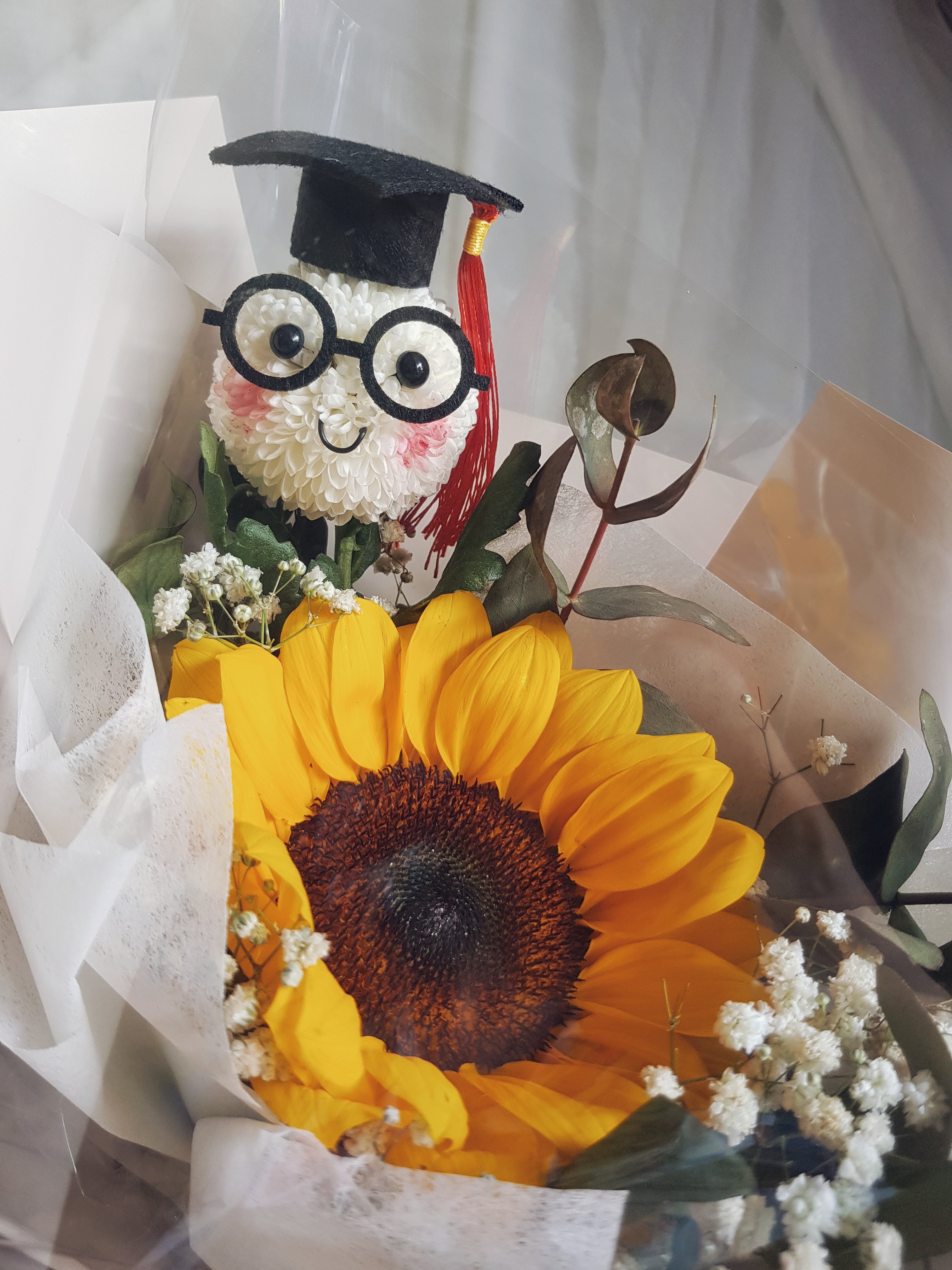 Graduation