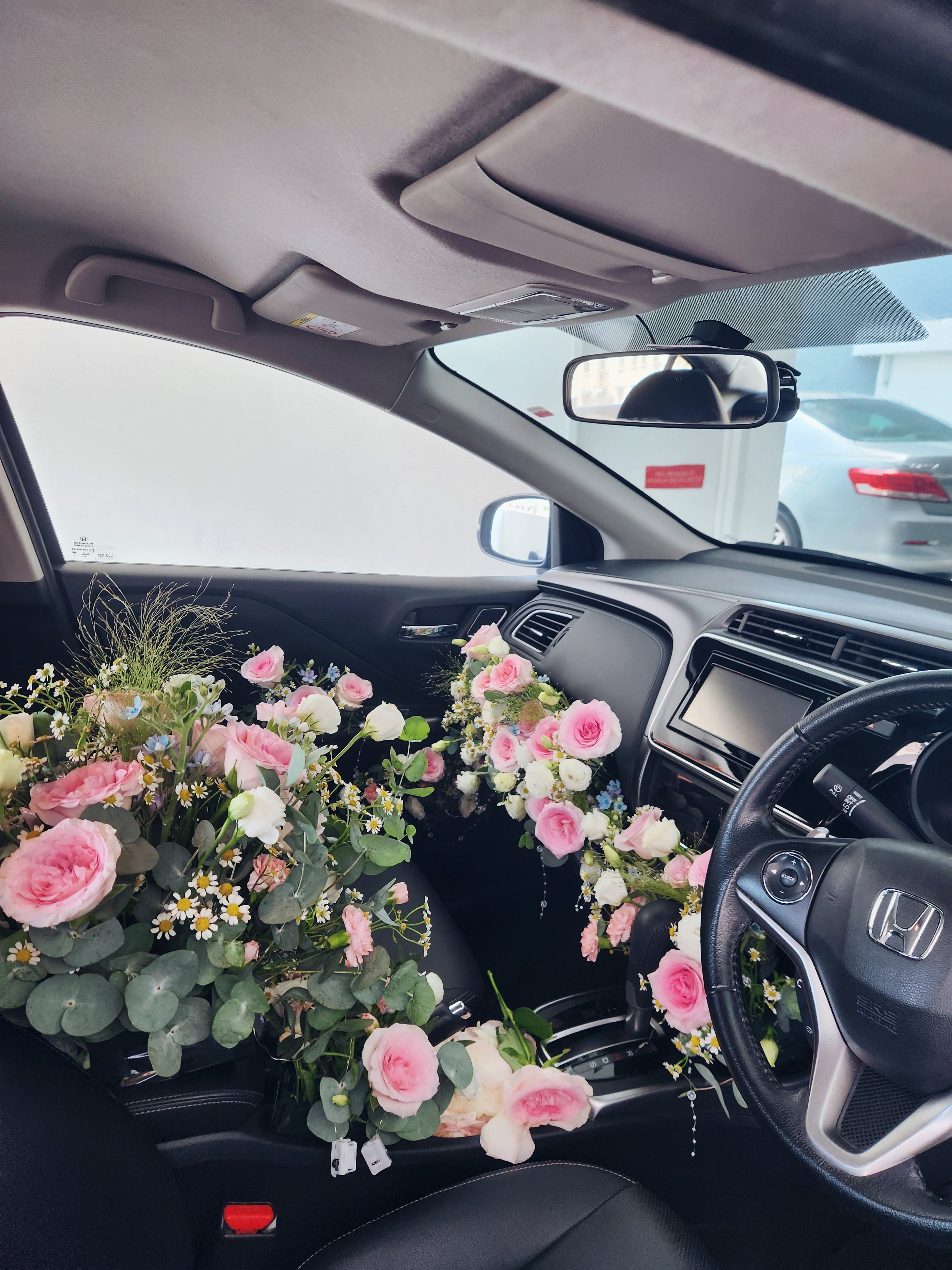 Bloom Yes Ride