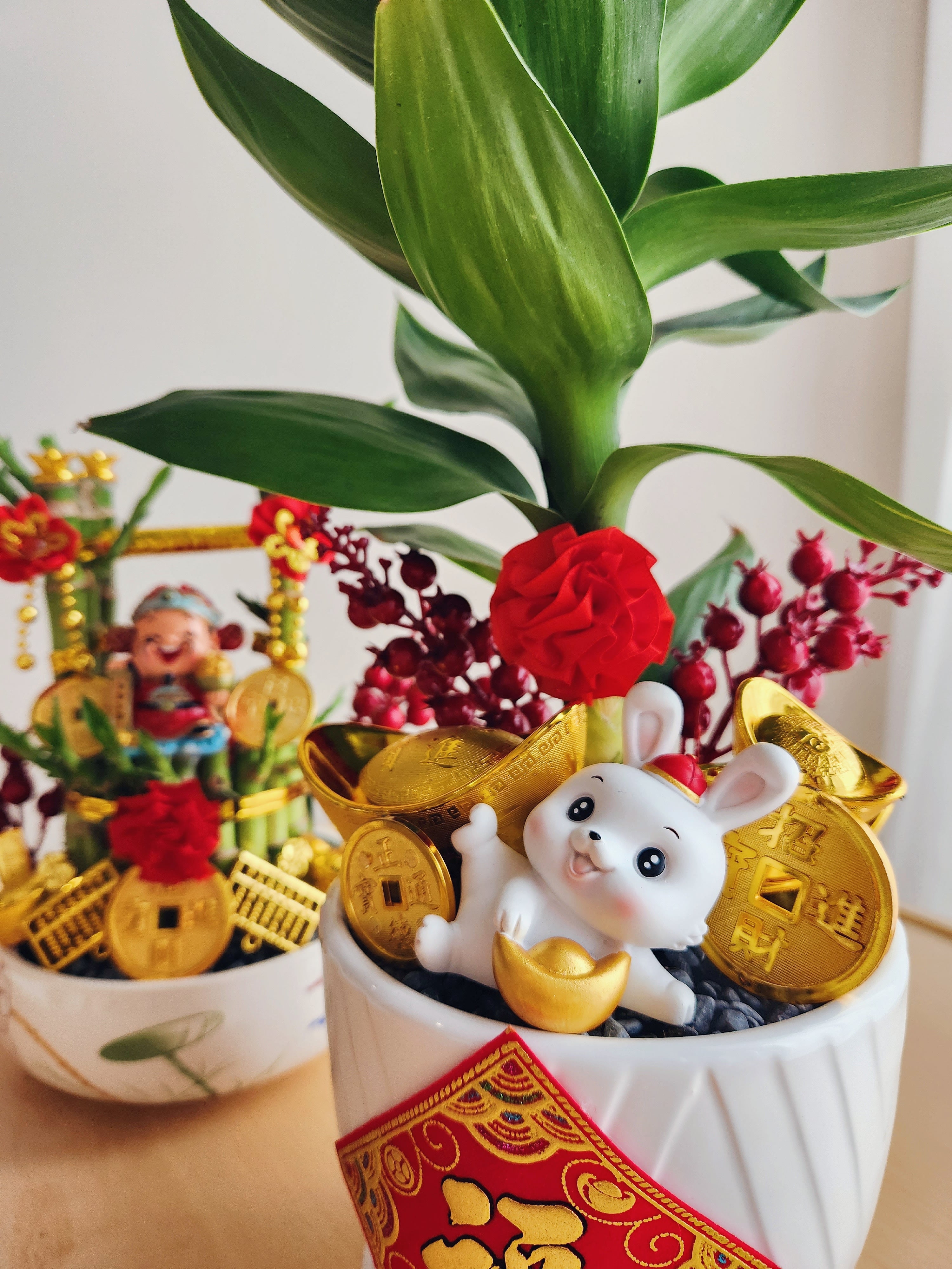 Happy Year of the Rabbit (Flower Plant)